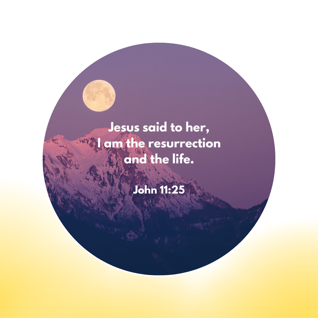 6 Additional Scripture Galaxy Discs For Bible Projector