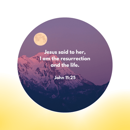 6 Additional Scripture Galaxy Discs For Bible Projector