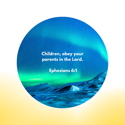 12 Additional Scripture Galaxy Discs For Bible Projector (Limited Collection)